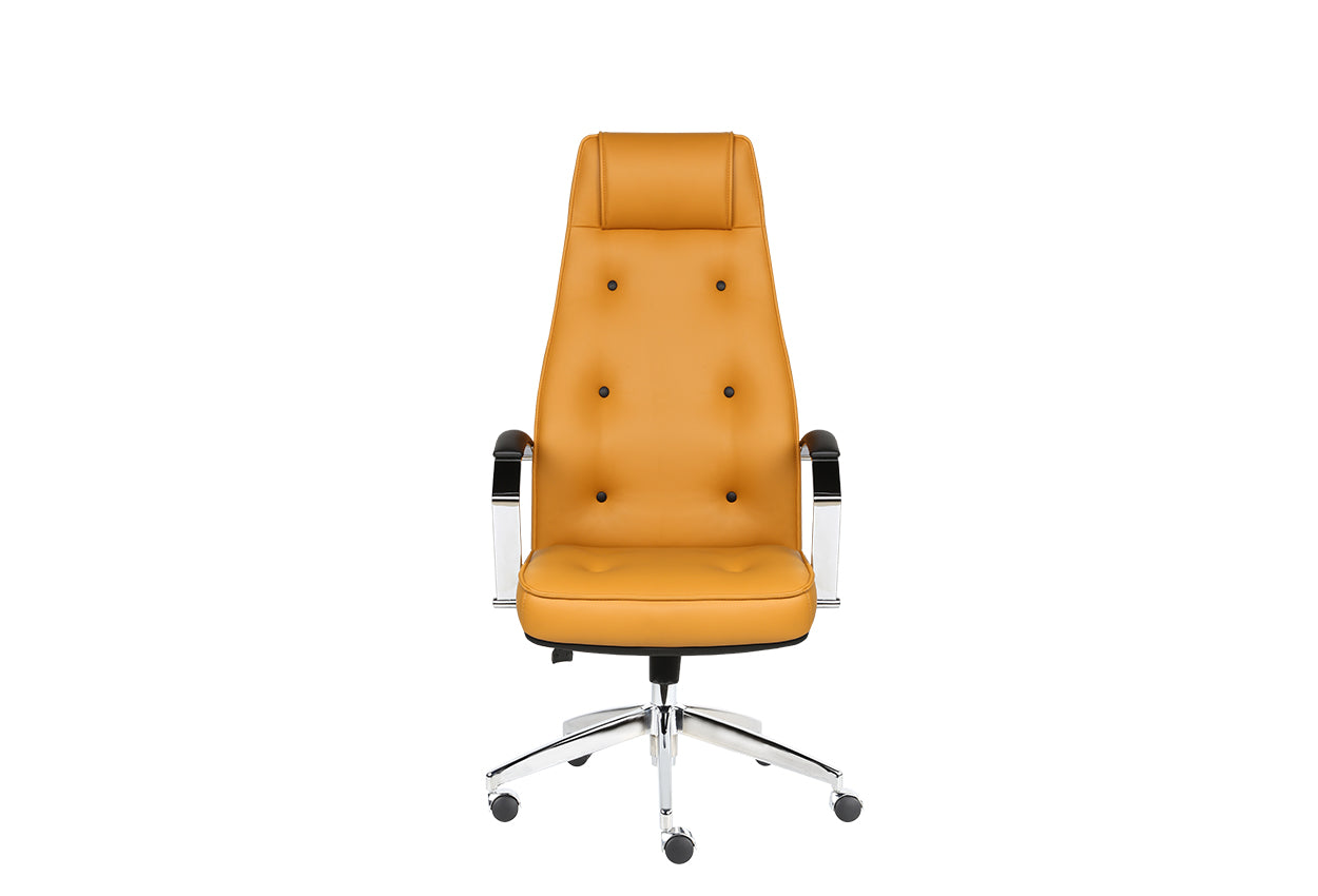 DUO EXECUTIVE CHAIR